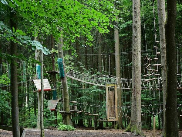 Kletterparkour im Wald