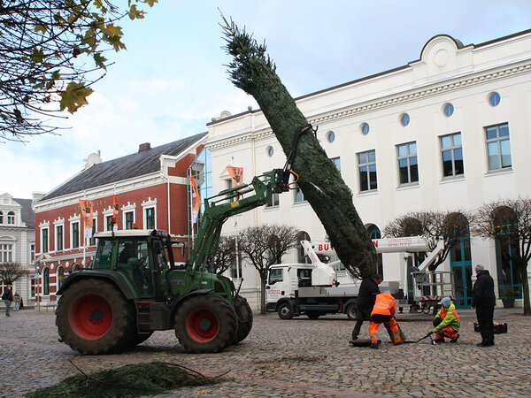 Weihnachtsbaum auf dem Marktplatz beim Aufstellen.