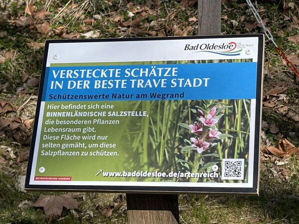 Schild, welches auf die Salzquelle hinweist