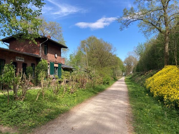 Auf der H&ouml;he der ehemahligen Bahnstation in Grabau verl&auml;uft der Bahnradweg in Richtung Bad Oldesloe. Im Fr&uuml;hling bl&uuml;ht es am Wegesrand in leuchtendem Gelb.