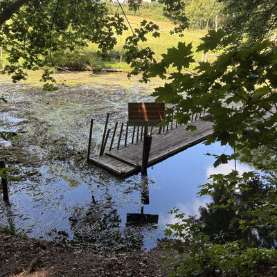 Krautsperre