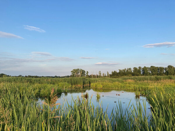 Brenner Moor Juli Abend