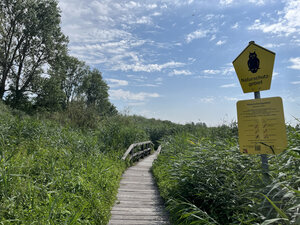 Holzbohlenweg mit Br&uuml;cke im Brenner Moor.
Vorne im Bild eine Infotafel zu dem Naturschutzgebiet