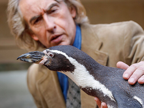 Das Kino am Nachmittag zeigt die tierisch-witzige Geschichte �Der Pinguin meines Lebens�